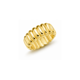 Arlo Ring