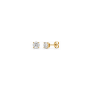 a 14 yellow gold 0.50ctw stud earrings on a whie background