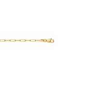 10K Yellow Gold Paperclip Chain Necklace – 3mm - Karen's Fine Jewellery