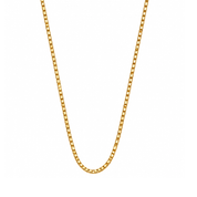 Semi-solid 10K yellow gold 2mm box chain necklace
