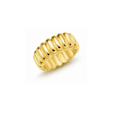 Arlo Ring