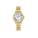 Citizen Classic Watch