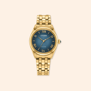 citizen eco-drive yellow steel and blue face watch