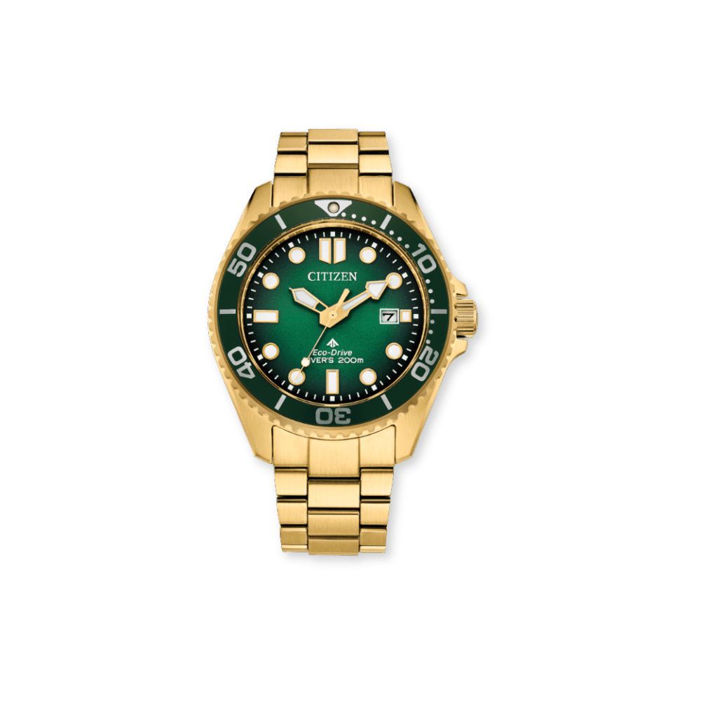 Citizen Promaster Dive Watch - Karen's Fine Jewellery