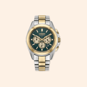 Two-tone Citizen eco-drive watch with green dial on a beige background