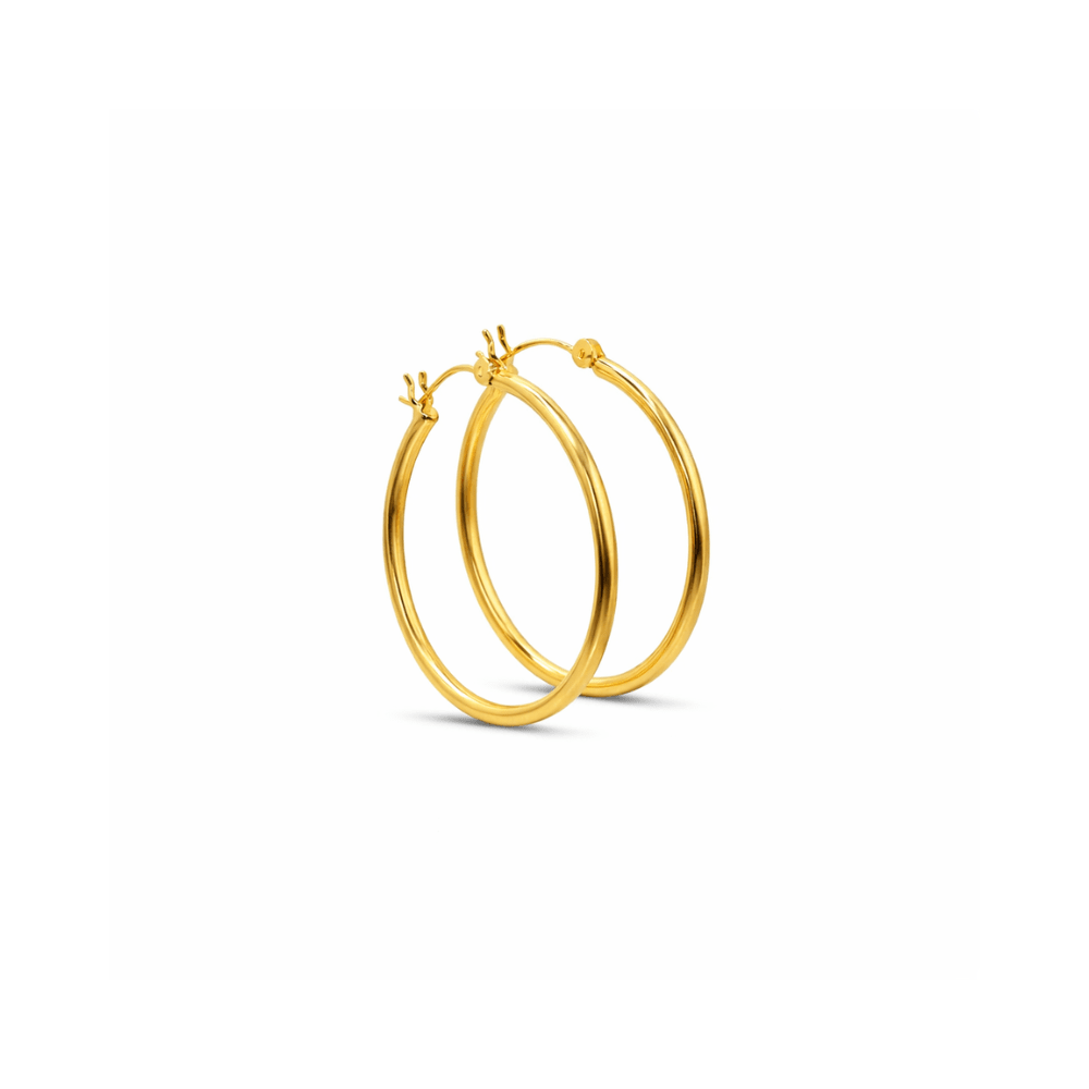 Elan Small Hoops - Karen's Fine Jewellery