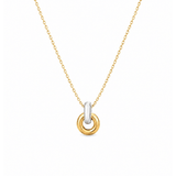 Collier cercle bicolore
